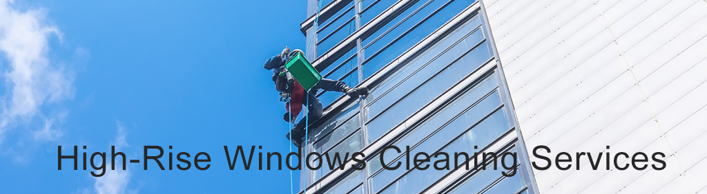 Windows Cleaning Company