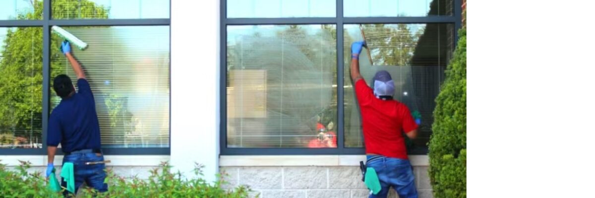 Window Cleaning Enhancing Curb Appeal and Natural Light (4)